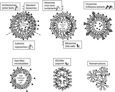 Lipid-Based Particles: Versatile Delivery Systems for Mucosal Vaccination against Infection